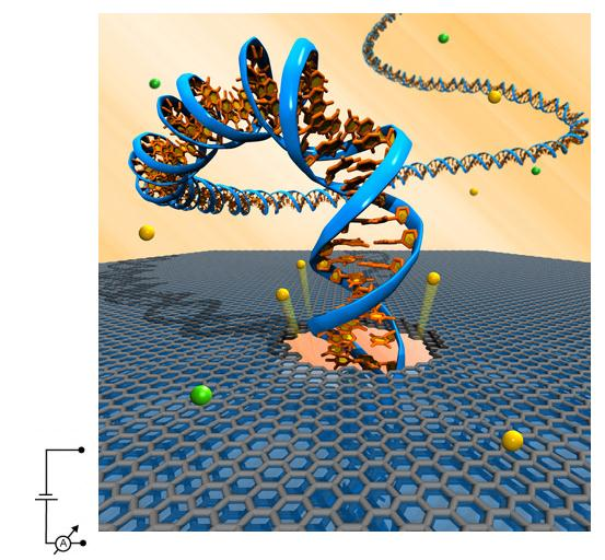 Nanomateriály a ich interakcia s biosystémami povrchu oxidu kremíka, ďakujúc rozptylu elektrónov pomocou optických fonónov pohyblivosť je okolo 40 000 cm 2 /(V.s).