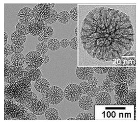 Nanomateriály a ich interakcia s biosystémami Obrázok 5.12. Chalkogél (Pt,Ge, S) Aerogély oxidu hlinitého (obr. 5.12) nazývané ako hliníkové aerogély sa pouţívajú ako katalyzátory najmä v prípade, keď sú dopované s inými kovmi.