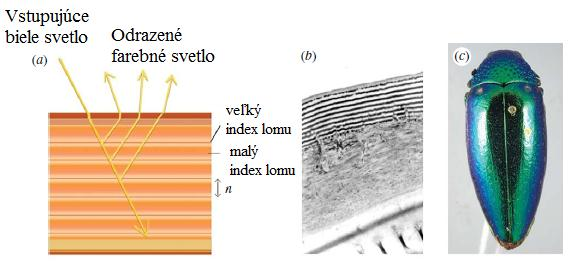 Nanomateriály a ich interakcia s biosystémami z tej skutočnosti, ţe štruktúra a tvary obálok rozsievok sú geneticky podmienené a tým je moţné zmenou v genetickej informácii zmeniť aj ich štruktúru. 6.