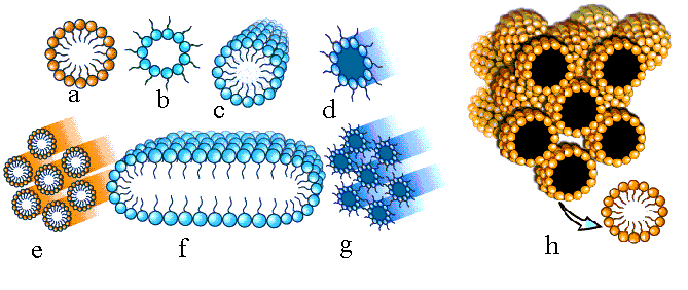 Nanomateriály a ich interakcia s biosystémami 8.