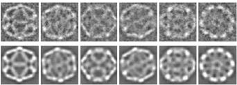 Nanomateriály a ich interakcia s biosystémami týchto báz na reťazci fosforibóz v podobe tripletov je uloţená tzv. o všetkých známych organizmoch. Obrázok 8.6.