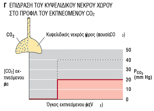 Αναλϑει τη μϋςη PCO2 ςτο μικτϐ εκπνεϐμενο αϋρα.