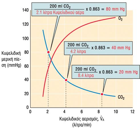 Η κυψελιδικό PCO2 εύναι αντιςτρόφωσ ανϊλογη με τον κυψελιδικό αεριςμό.