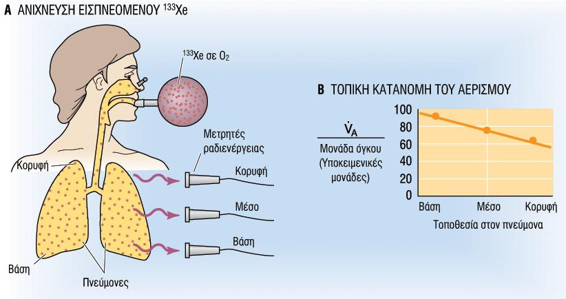 Απεικονιςτικό τεχνικό που εκτιμϊ την ομοιομορφύα του αεριςμοϑ.