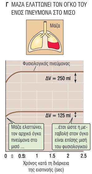 Μϊζεσ: Διογκωμϋνοσ λεμφαδϋνασ, ϐγκοσ, ουλώδησ ιςτϐσ Πνευμοθώρακασ, υπεζωκοτικό ςυλλογό Ακϐμη και αν η μϊζα δεν ϋχει επύδραςη ςτην αντύςταςη ό