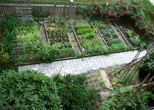 αυτοδιαχειριζόμενοι λαχανόκηποι εφαρμόζεται σε εξωτερικούς χώρους