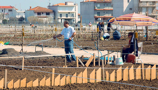 ελληνική πραγματικότητα αστικός αμπελώνας στη Θεσσαλονίκη (2012) λαχανόκηποι στο Αγρόκτημα του ΑΠΘ