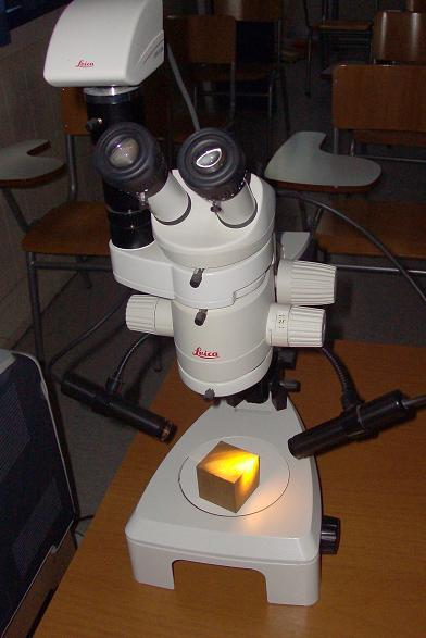 1 ο. ΑΝΑΓΝΩΡΙΣΗ ΤΟΥ ΕΙΔΟΥΣ ΞΥΛΕΙΑΣ Τα δύο (2) δοκίμια εξετάστηκαν μακροσκοπικά καθώς και με μικροσκόπιο ακριβείας, τύπου Leica, από τον Δρ. Γ. Μαντάνη στις 22-05-2013. Όπως φαίνεται και στην Εικ.