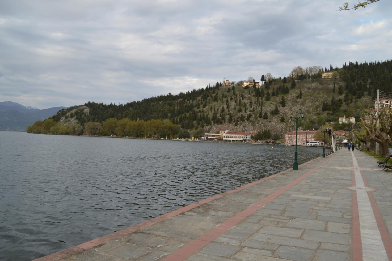 Στο Απόζαρι, στη βόρεια όχθη της λίμνης της Καστοριάς, που την χτυπάει ο βοριάς από το Βίτσι, οι καστανιές ανθοφορούν 15 μέρες πιο αργά από το Ντολτσό, τη νότια όχθη της λίμνης, λόγω καιρού.