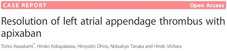 Kawakami et al.