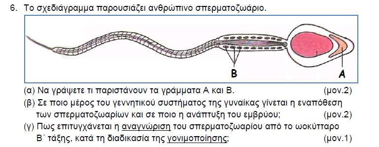 2010 ΜΕΡΟΣ Α ΑΣΚΗΣΗ 3