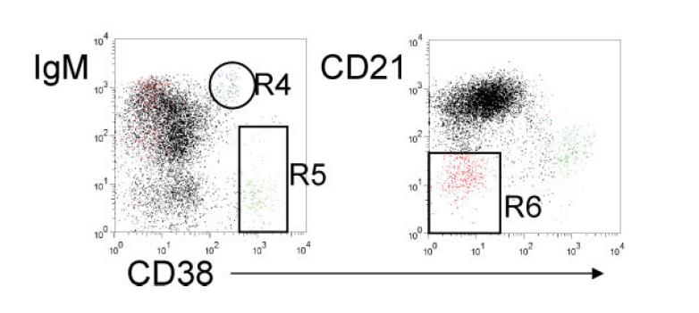 Βασικός τρόπος αναγνώρισης CD19+ πληθυσμών (ΙΙ) Μεταβατικά\Transitional C CD21lo