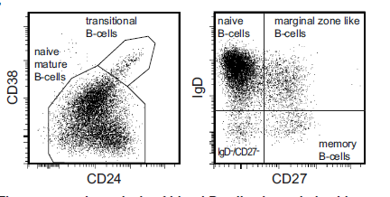 Συνδυασμός 5 Φυσιολογικοί υποπληθυσμοί Β λεμφοκυττάρων (από Driessen GJ et al.