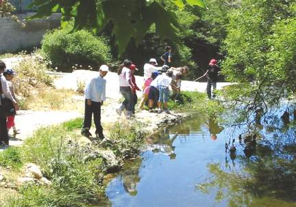 5. Οι μικροί ερευνητές... 1. Πληροφορηθήκατε ότι στη γειτονιά σας έχει τοποθετηθεί παράνομα μια κεραία κινητής τηλεφωνίας. 2.