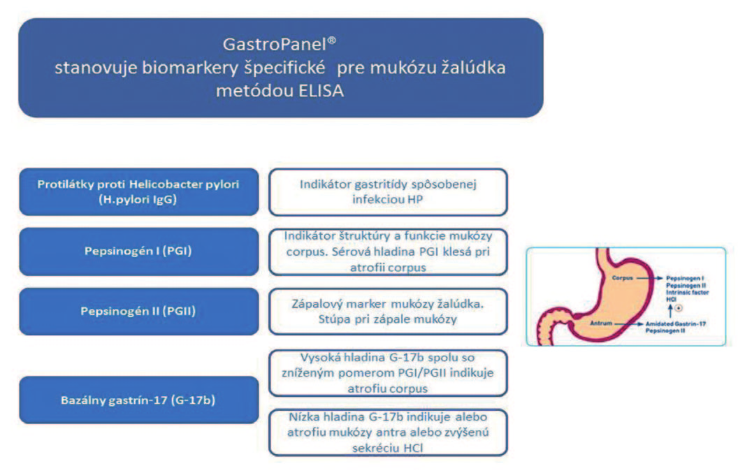 OKIA Nové vyšetrenie GastroPanel Neinvazívny test štruktúry a funkčného stavu žalúdočnej sliznice z periférnej krvi Vyšetrenie 4 biomarkerov metódou ELISA 1.