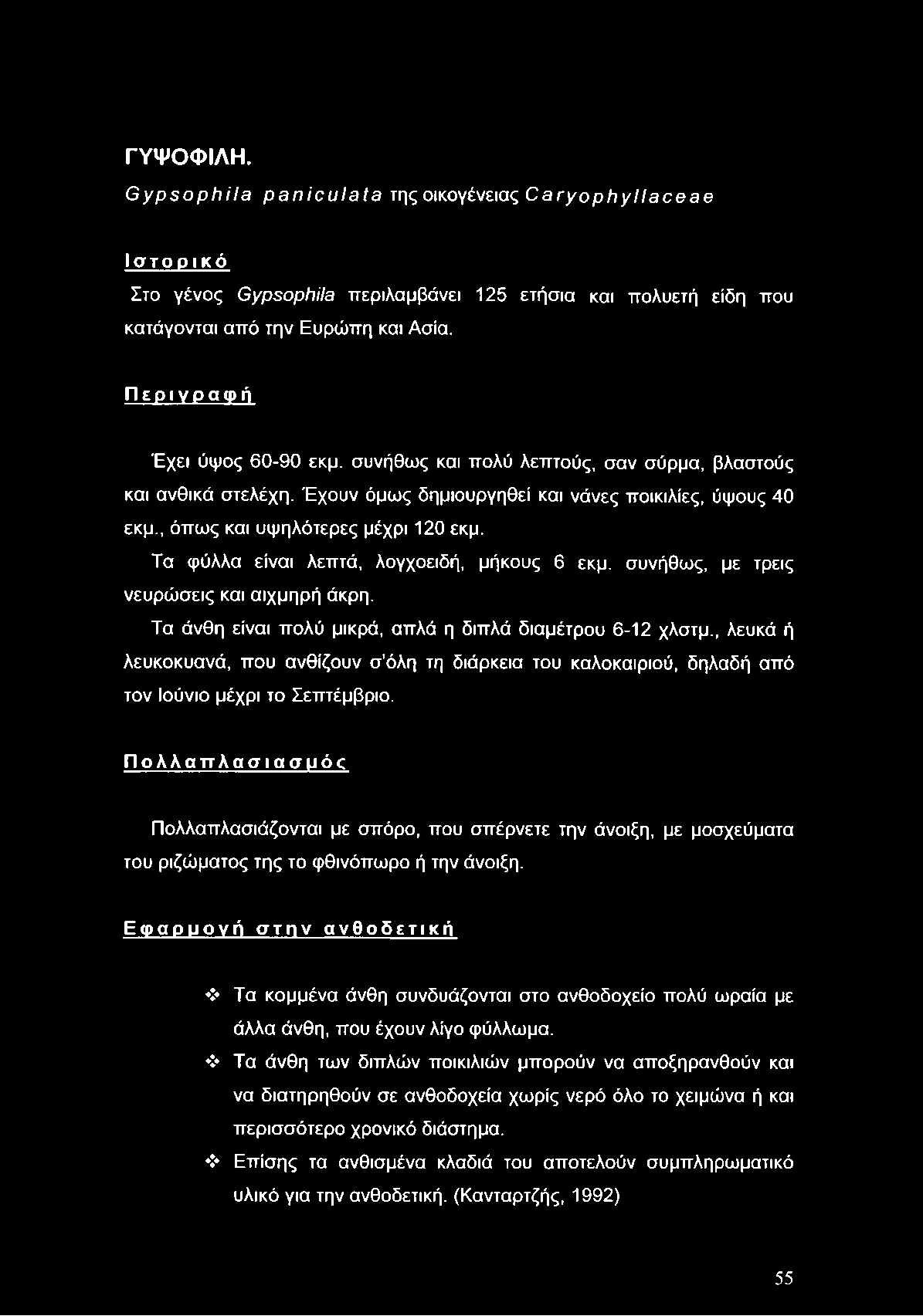 60 έτος γριά γυναίκα που χρονολογείται μικρότερος άνθρωπος