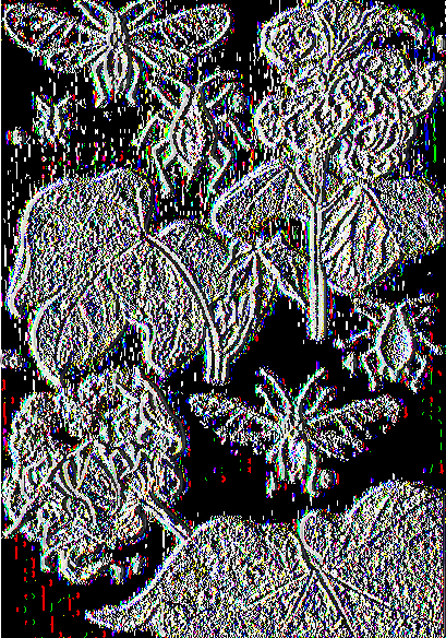 1 Εικόνα 20. Αφίδες. 1,2,3,4. Θηλυκά (διάφορες μορφές), 5. Μικρή προνύμφη, 6,6α. Προσβολή σε βλαστό και φύλλα, 7. Μελίτωμα σε καρύδι.