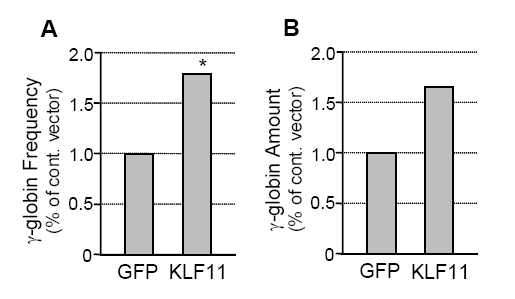 χρησιμοποιήσαμε την ένταση του ανοσοφθορισμού στα GFP-θετικά (επιμολυσμένα) και GFP-αρνητικά (μη επιμολυσμένα) κύτταρα στις αθροίσεις των ερυθροειδών αποικιών ομαλοποιημένο και πάλι με βάση το φορέα