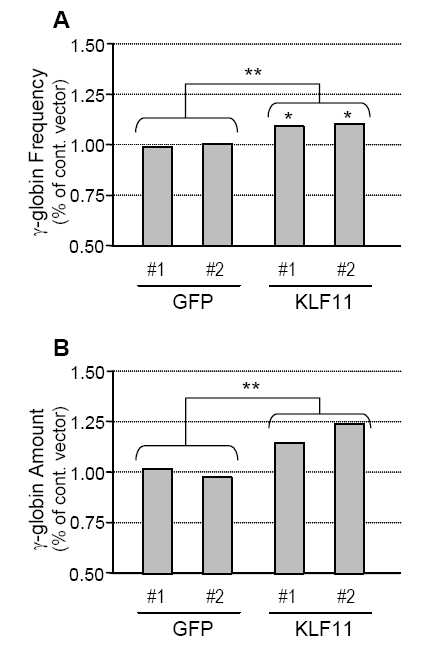 FKLF1 FKLF1 Σχήμα 6. Αποτελέσματα της επιμόλυνσης με FKLF1 διαγονιδιακών ποντικών που εκφράζουν χαμηλά επίπεδα γ αλύσου. A) Περίληψη των αποτελεσμάτων του σχήματος 5, συχνότητα έκφρασης γ αλύσου.