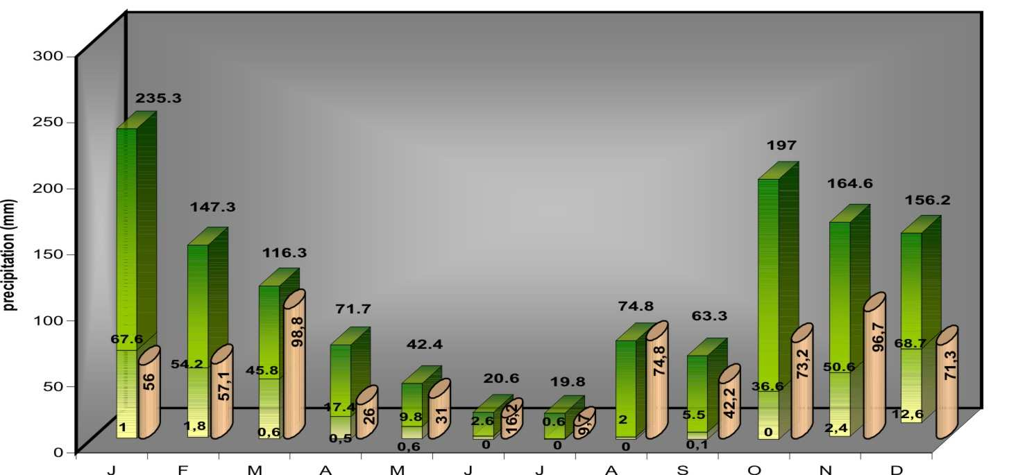 PAROS 1975-1995 ιάγραµµα 13. Υετόγραµµα για την Πάρο. Chart 13. Column chart of precipitation for Paros.