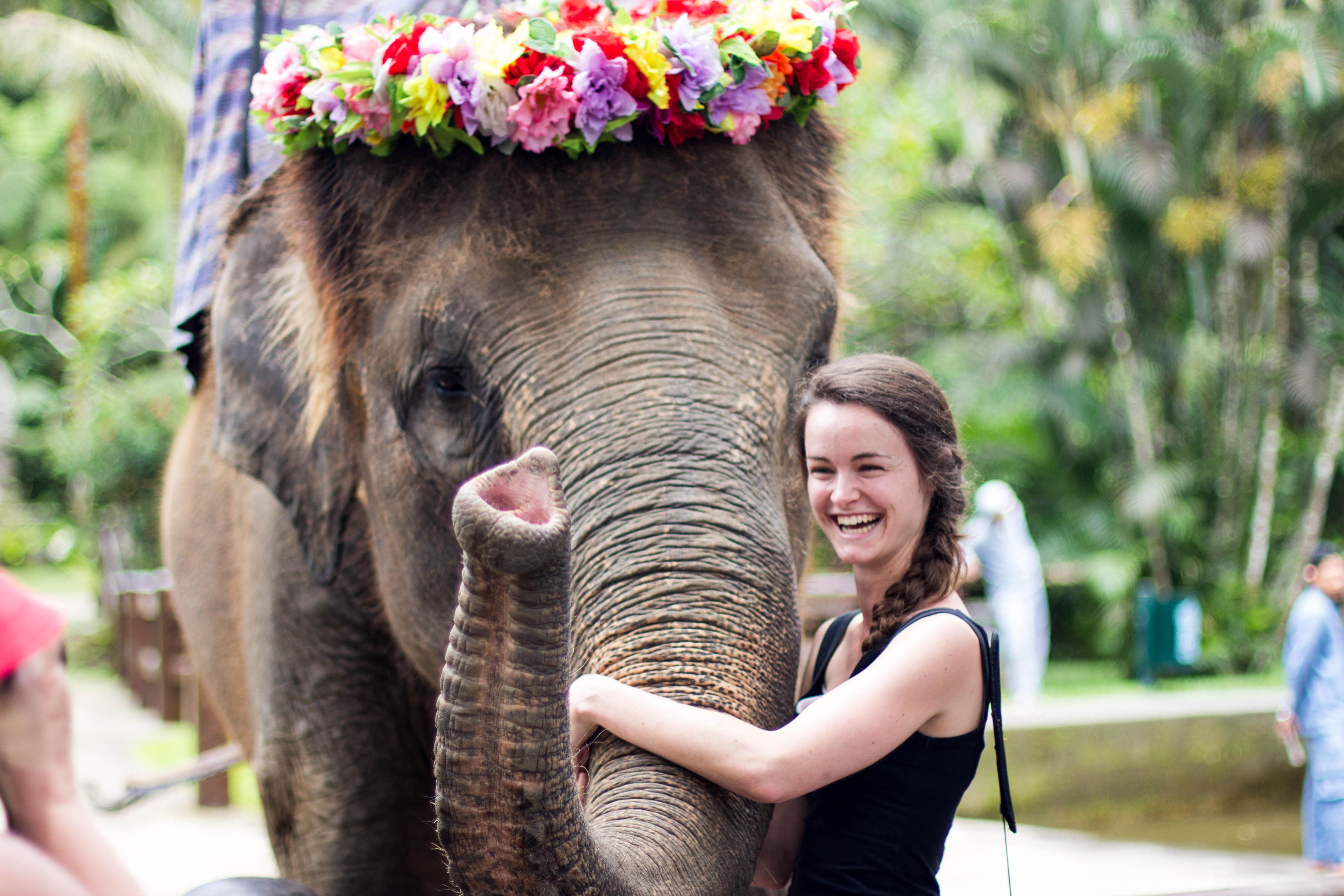 HALF DAY ELEPHANT SAFARI RIDE ΣΑΦΑΡΙ ΜΕ ΕΛΕΦΑΝΤΑ Διάρκεια: 5 ώρες Το Elephant Safari Park στο Taro είναι χωρίς αμφιβολία ένα μέρος το οποίο πρέπει να επισκεφθείτε κατά την διαμονή σας στο Μπαλί.