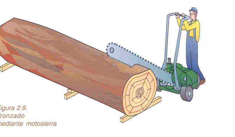 ΞΥΛΟΦΥΛΛΑ Το ξύλο ως πρώτη ύλη για παραγωγή ξυλοφύλλων Προέλευση Κορμοτεμάχια: μήκους