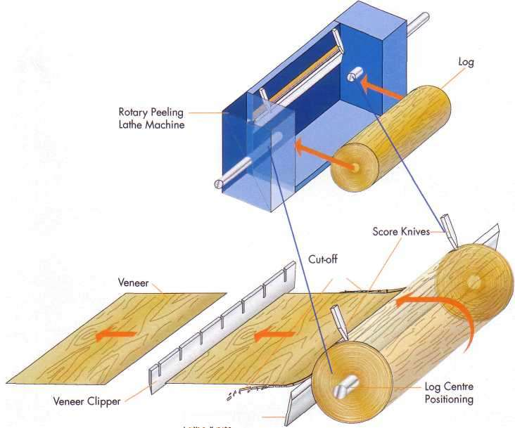 Σχηματική παράσταση μηχανής εκτύλιξης κορμών και παραγωγής ξυλόφυλλων τα οποία τεμαχίζονται.
