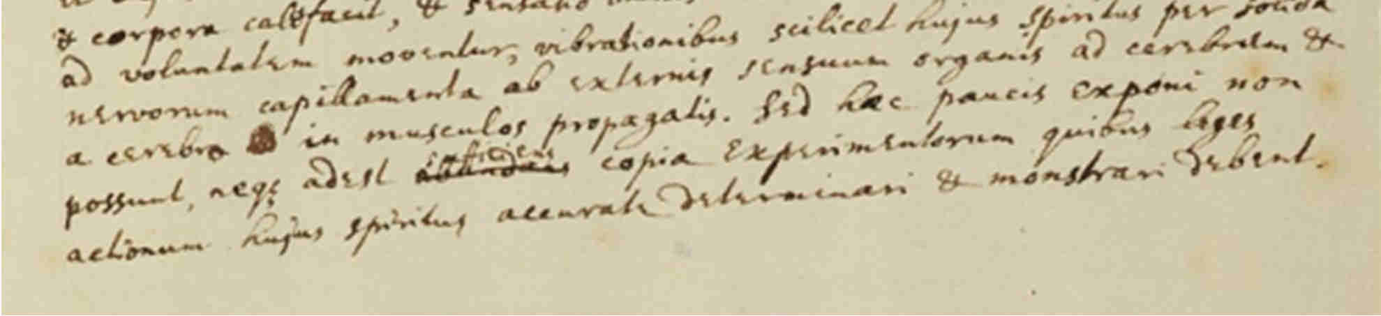 ριττή υπόθεση. Προσπαθεί να αποφύγει τη διερεύνηση ή εξήγηση με υποθέσεις και απόκρυφα μεταφυσικά αίτια. Περιορίζεται στην περιγραφή των αιτιών που παρατηρεί.