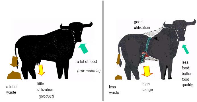 Κατανάλωση προϊόντων και παραγωγή στερεών αποβλήτων Product Input Waste Output Κακή χρήση Καλή χρήση Πολλά απόβλητα Ελάχιστη παραγωγή γάλακτος Πολλή τροφή Λίγα