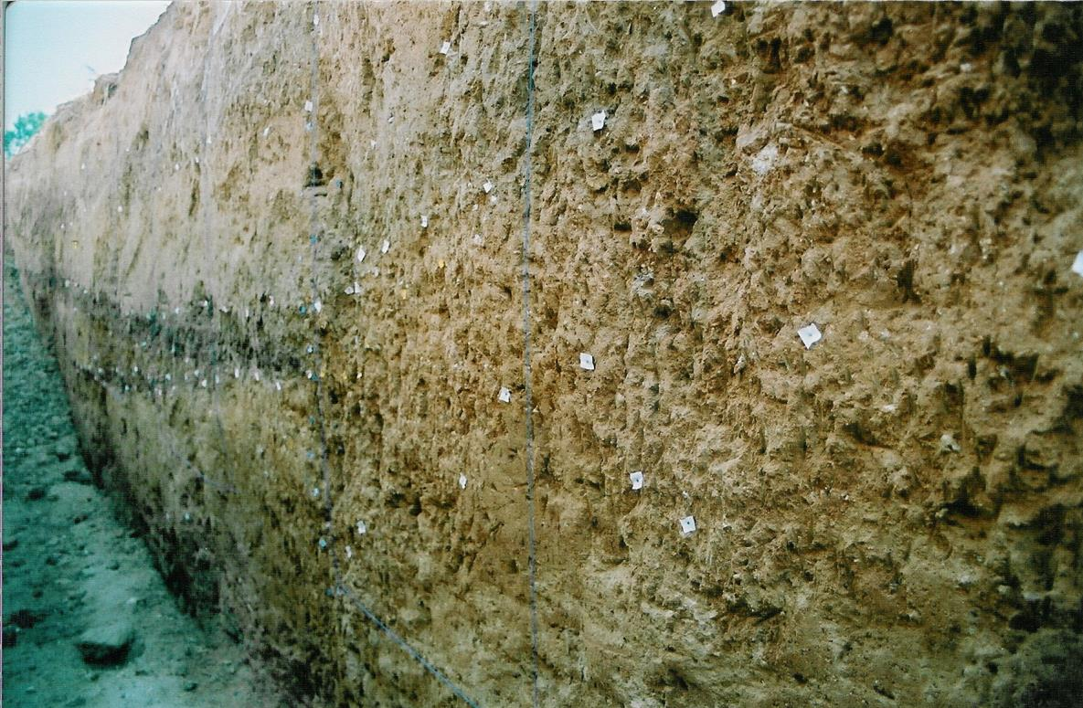 Εικόνα 2-26. Γενική άποψη του ανατολικού τοιχώματος της παλαιοσεισμολογικής τομής GER-5.
