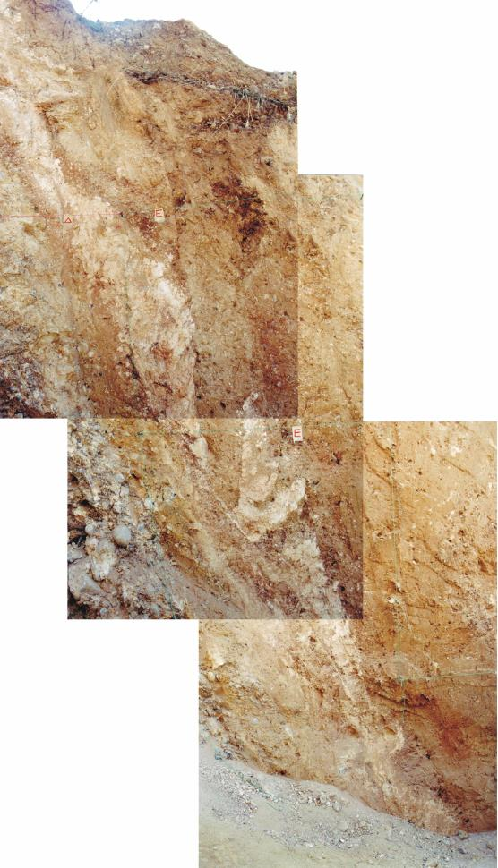 Η στρωματογραφία της τομής KAP-1 αποτελείται από εναλλαγές αργίλων, άμμων, κολλουβιακών σφηνών και εδάφους.