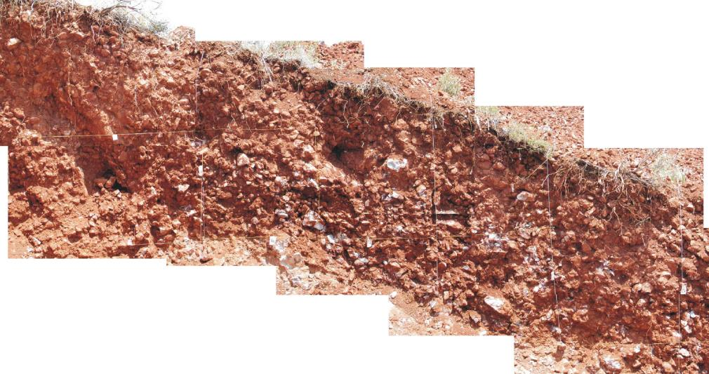 Εικόνα 3-21. Καταγραφή του ανατολικού τοιχώματος της παλαιοσεισμολογικής τομής KAP-3.
