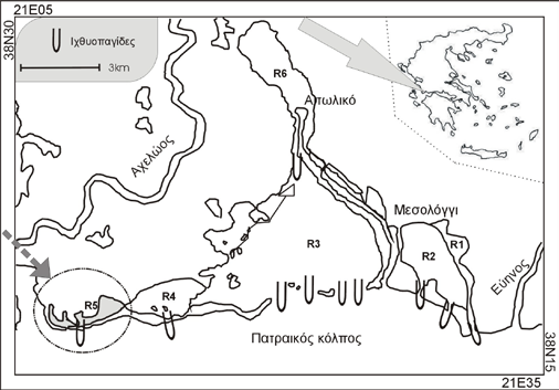 1. Εισαγωγή Τα λιμνοθαλάσσια οικοσυστήματα παίζουν σημαντικό ρόλο στον κύκλο ζωής πολλών ειδών ψαριών, αποτελώντας διατροφικά πεδία τόσο για τα νεαρά οντογενητικά στάδια (Blader & Blader, 1980), όσο