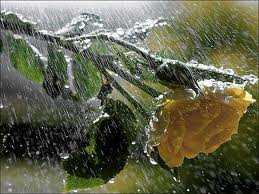 Βροχή είναι το νερό που φτάνει στο έδαφος με υγρή μορφή όταν οι