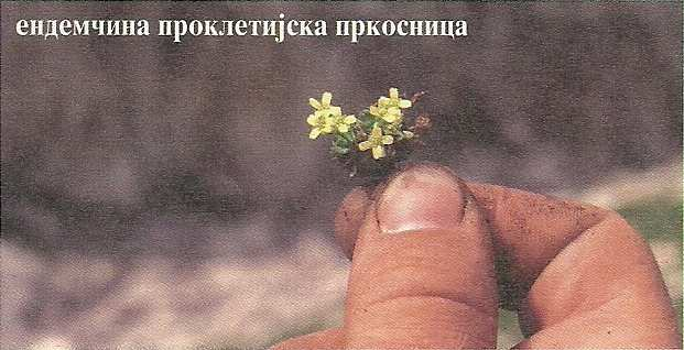,,Изводи`` из,,црвене књиге флоре