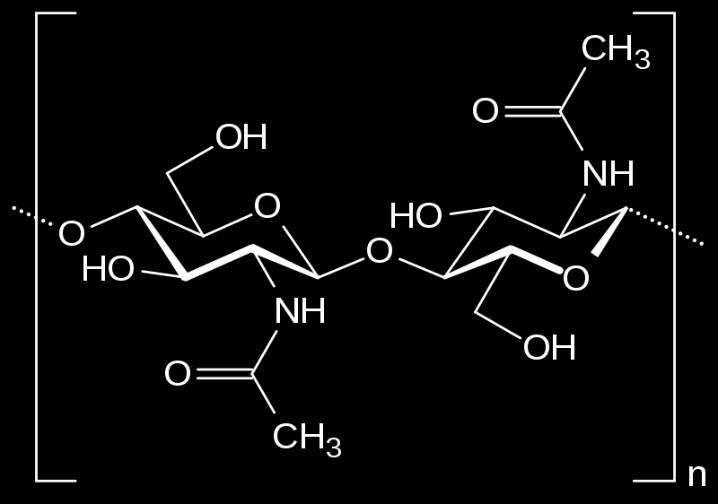 Άλλα σημαντικά σάκχαρα Αμινοσάκχαρα Χιτίνη, ένα 1,4 -(β-d-ακετυλογλυκοζαμινικό)