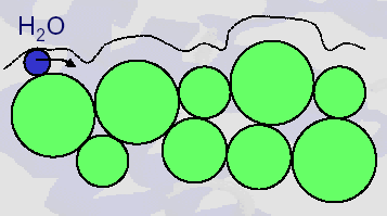 Solvent Accesible