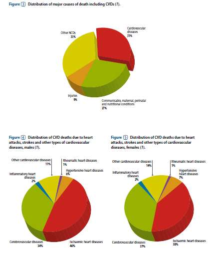 GLOBAL DISTRIBUTION OF CVDS AS CAUSES OF DEATH, (WHO 2011) Τα καρδιαγγειακά νοσήματα είναι υπεύθυνα για το 1/3 (31%) του