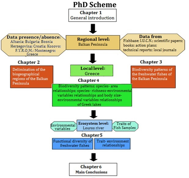 It is increasingly apparent that knowledge of the roles of processes in shaping patterns at different spatial scales is at the very heart of an understanding of variation in biodiversity (Gaston,