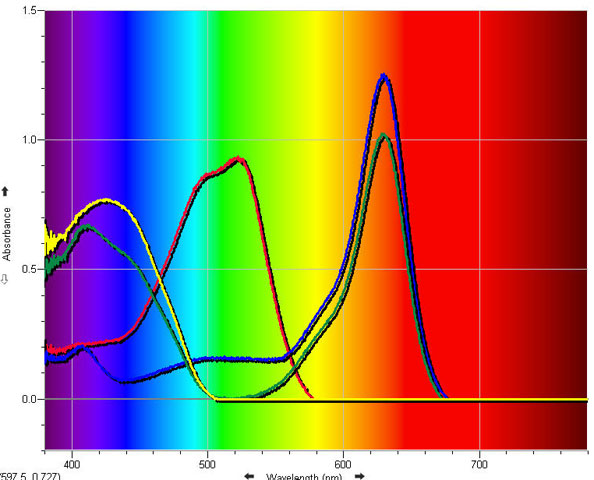 Φασματοσκοπία Υπεριώδους Ορατού (UV-Vis) Η σχέση ανάμεσα στο μήκος κύματος του ορατού φάσματος του φωτός που απορροφούν οι ενώσεις και στο χρώμα που παρατηρείται Όταν ένα αντικείμενο απορροφά