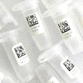HPV microarrays Clart2 HPV2 Clinical Array (Genomica) Multiplex SSP-PCR, 23 HR+LR types