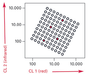 Liquid arrays (Luminex) GP+ PCR and hybridization in Luminex 24 HR+LR types + b-globin ctrl (Multimetrix)