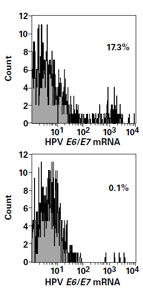 Flow-FISH HPV OncoTect (incelldx) HPV pos (+)
