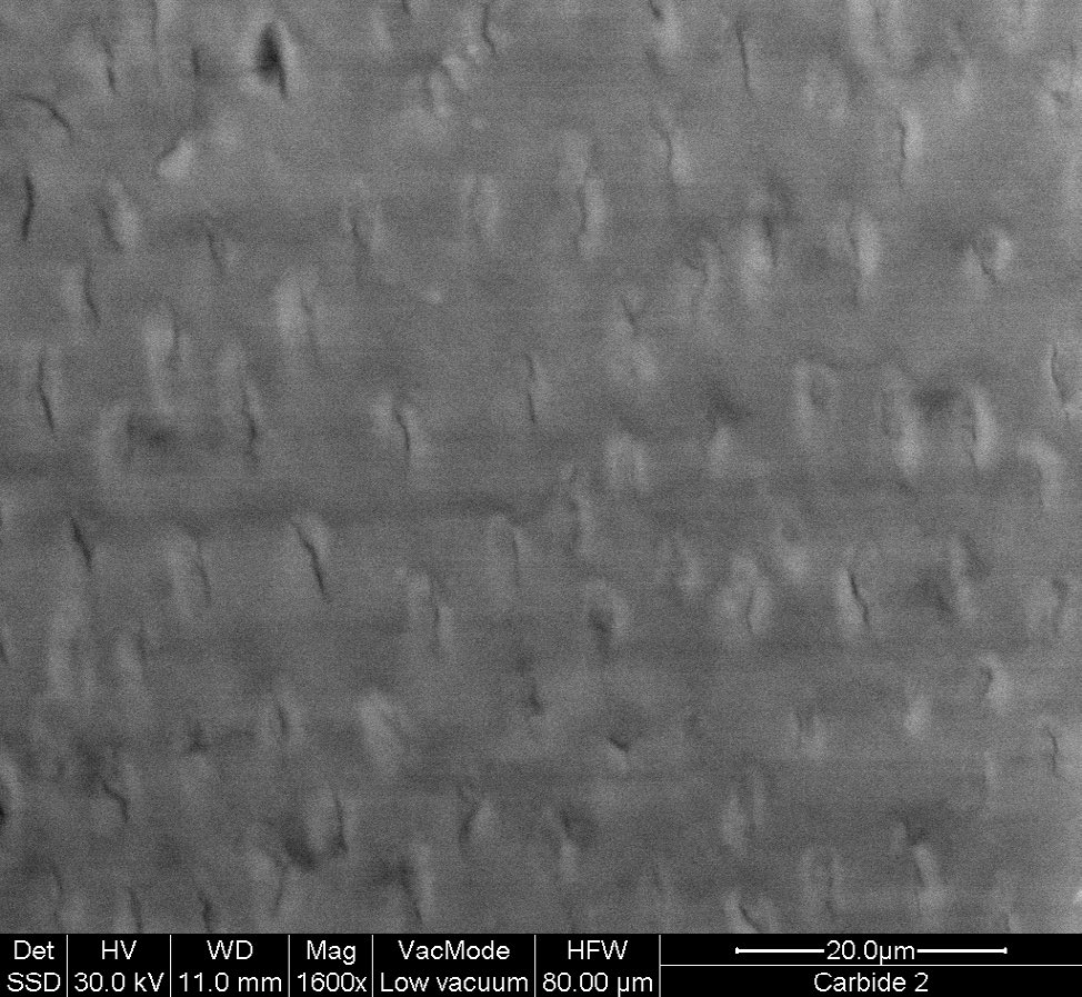 κοπής» (cutting efficiency). Εικόνα 5.4.: Λεπτομέρεια από εικόνα κοιλότητας από εγγλυφίδα καρβιδίου απιοειδούς τύπου (SEI 1600Χ).