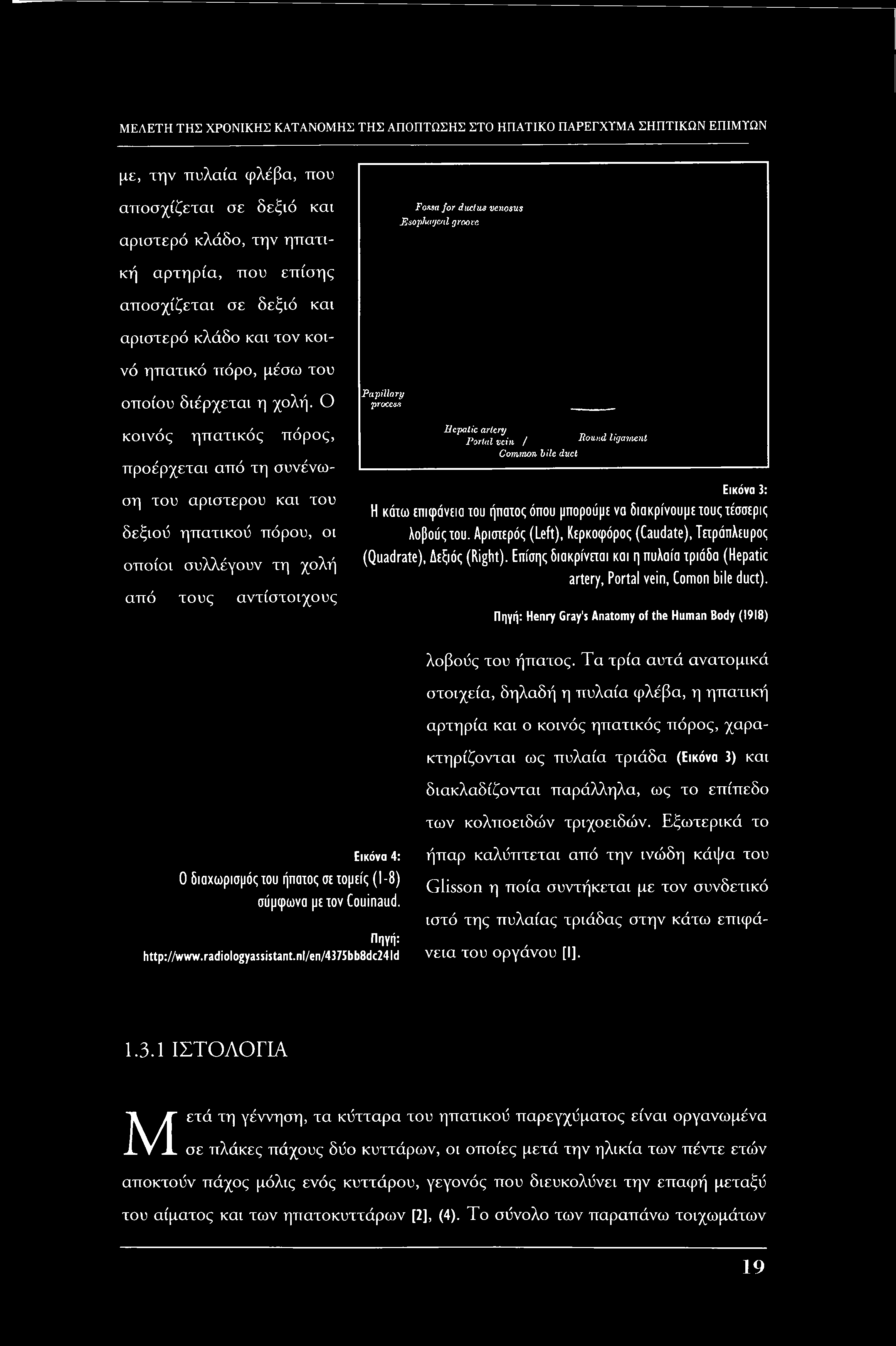 με, την πυλαία φλέβα, που αποσχίζεται σε δεξιό και αριστερό κλάδο, την ηπατι- Fossa for dud us venosus Esophageal groove κή αρτηρία, που επίσης αποσχίζεται σε δεξιό και αριστερό κλάδο και τον κοινό