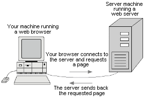 1. Τι είναι και πώς λειτουργούν οι διακομιστές Web Ο διακομιστής Web (web server) είναι ένα λογισμικό το οποίο μας παρέχει ο World Wide Web.
