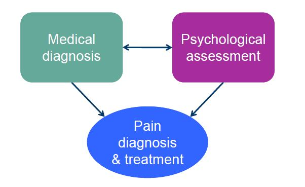 Στρατηγικές αξιολόγησης επί υποψίας συμπίεσης του νωτιαίου μυελού Ο πόνος πρέπει να αξιολογείται πάντα Η αξιολόγηση είναι το κλειδί για αποτελεσματικό έλεγχο του πόνου
