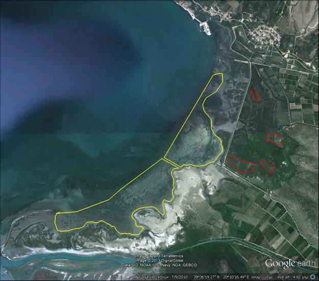 Εικόνα 28: Πληθυσμιακή τάση της χουλιαρόπαπιας στου βάλτους και θάλασσα Σαγιάδας κατά τη χρονική περίοδο 2011-2015 Σφυριχτάρι (Anas penelope) Tο σφυριχτάρι είναι ένα από τα πιο θηρεύσιμα είδη στο