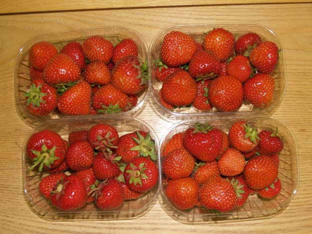 Maasikad peaksid olema kahe tunniga maha jahutatud temperatuurini 0 ± 0.5 C.