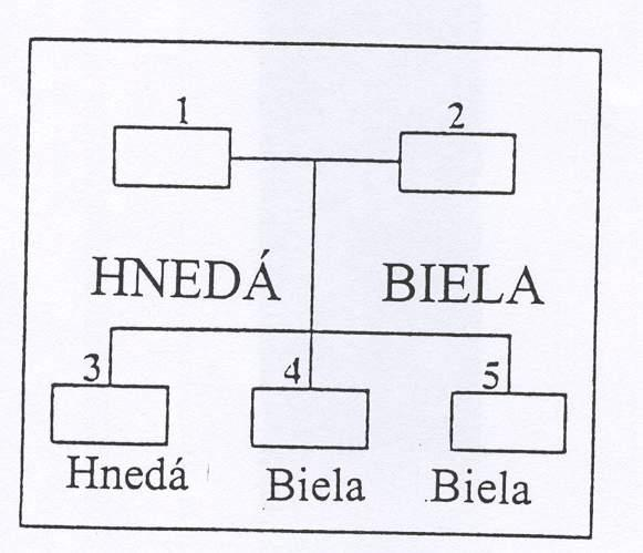 Medzinárodná biologická olympiáda / Teoretické úlohy 28. Ktoré z nasledujúcich tvrdení nie je príčinou toho, že efekt recesívnej alely sa neprejaví vo fenotype heterozygótov?